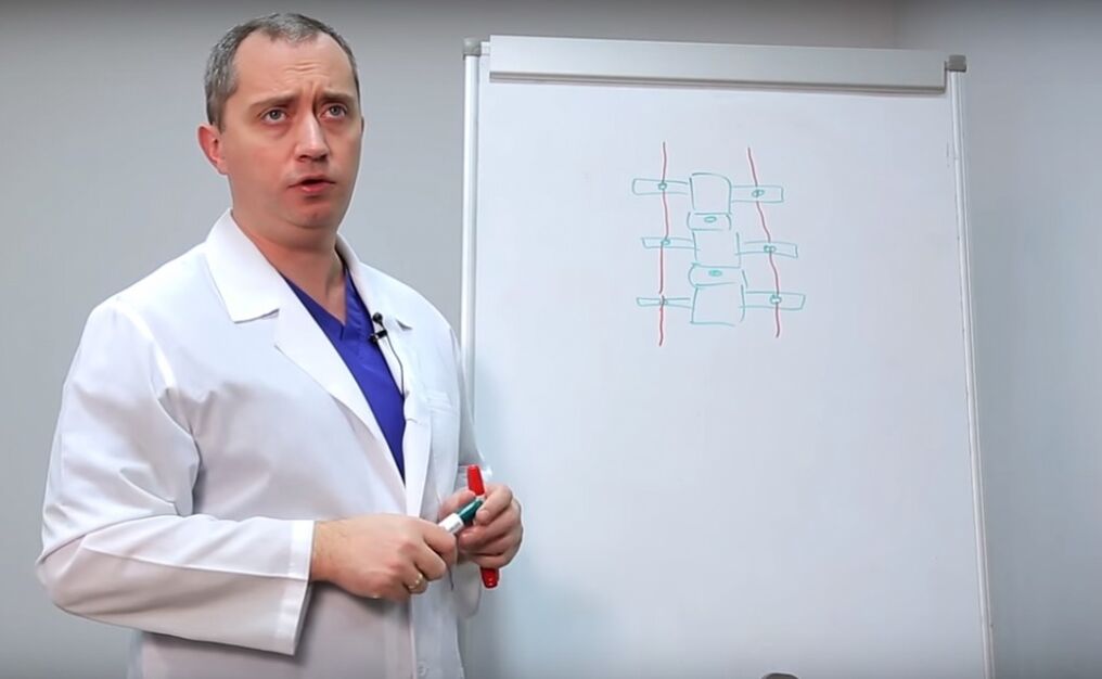 Доктор показывает структуру спинного мозга